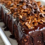 Chocolate-Crunch-Cake-Recipe
