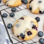 Blueberry-Cookies-Recipe